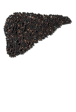Pfeffer
