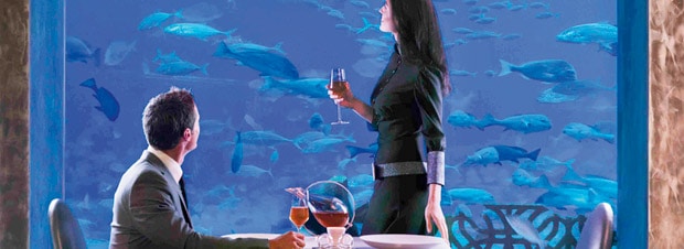 Propeller Island