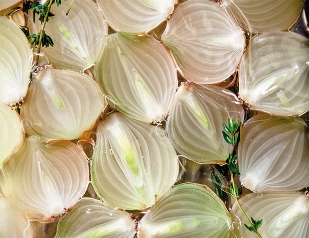 Cevennen-Zwiebel