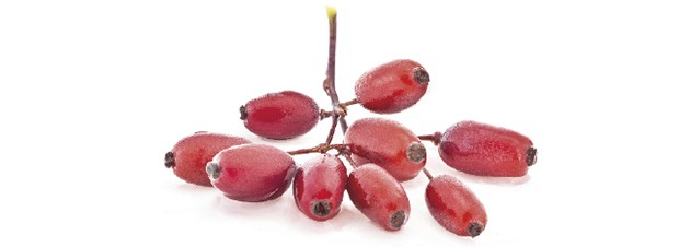 Goji Goji Beeren