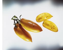  Orange Banane