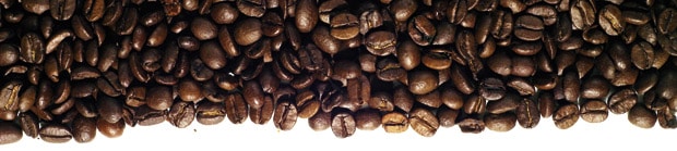 Kaffeebohnen Kaffeebohnen