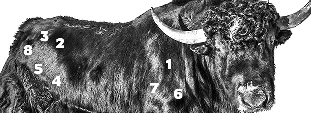 Edelteile in der Yak-Ausführung