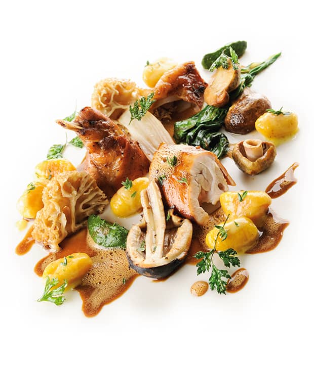 Kaninchen, Pilze und Kürbis