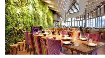 Gastroconsulting