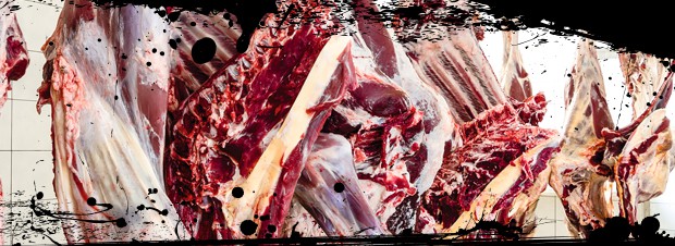 Heissluftdaempfer Heissluftdaempfer für Fleisch