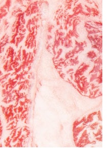 Kobe Beef 