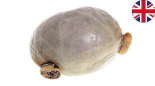 Haggis