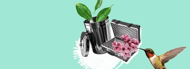 Zero Waste Müll