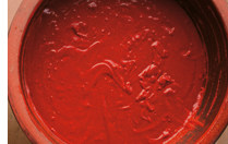 GochuJang
