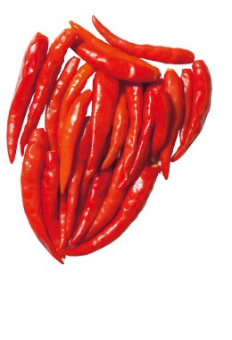 Chili