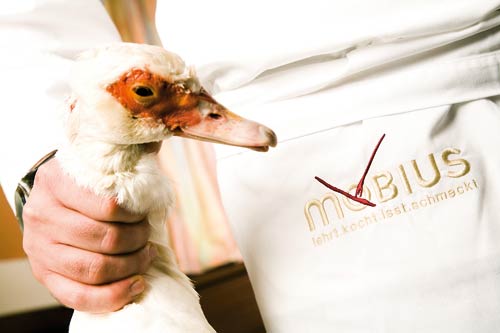 eine Hand die eine Gans fest am Hals hält 