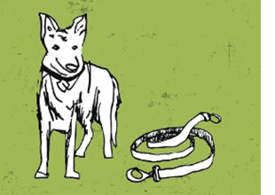 Der Schäferhund