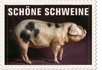 Die Superwampe