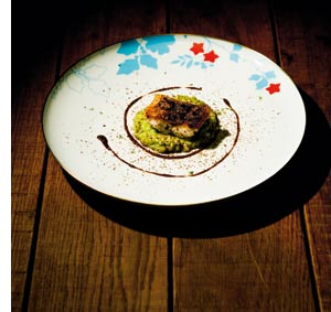 Zander mit Avocado und Schokolade