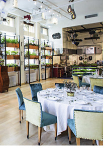 David Bouley NYC