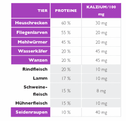 Proteintabelle von Insekten 