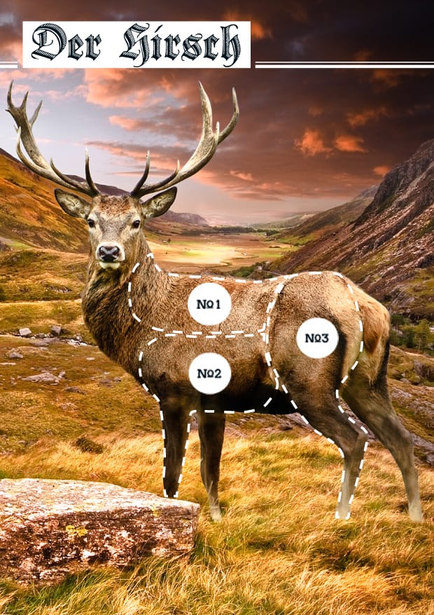 Der Hirsch