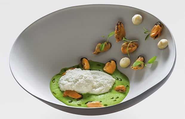 Macadamia, Ajo Blanco mit Miesmuscheln 