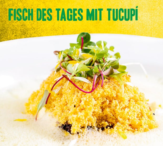 Fisch des Tages mit Tucupi