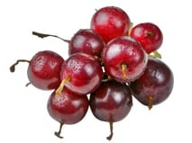 Jostabeeren