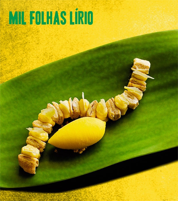 Mil Folhas Lirio
