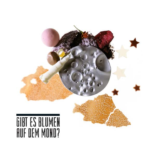Sergio Herman Blumen auf dem Mond