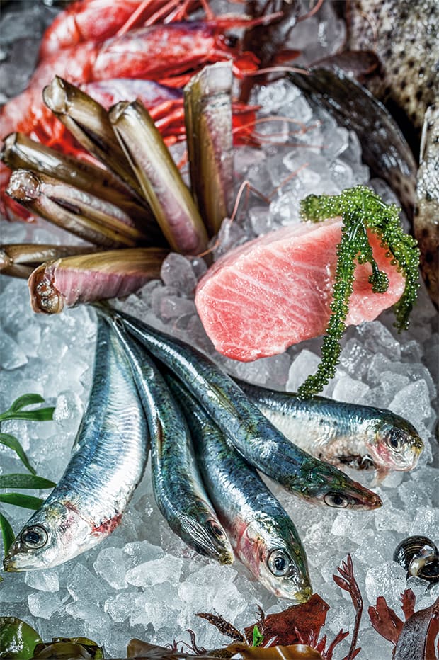 Fischvariation