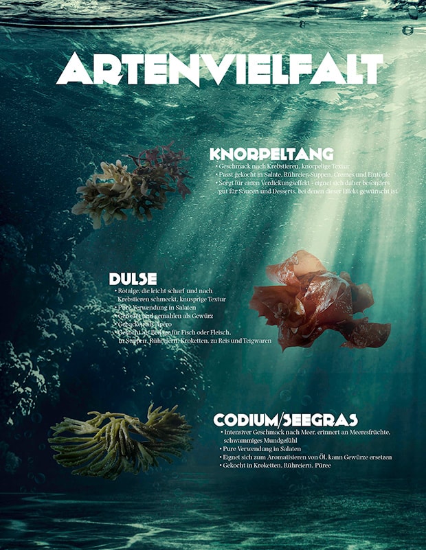 Artenvielfalt der Alge