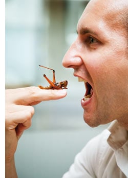 Boris Eis, Insektenfan