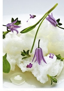 Köstliches aus dem Restaurant Geranium