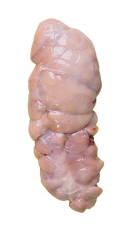 Kalbsbries