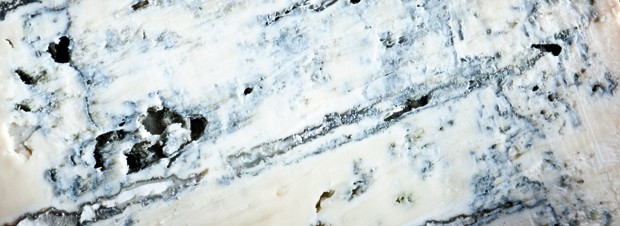 Gorgonzola Piccante