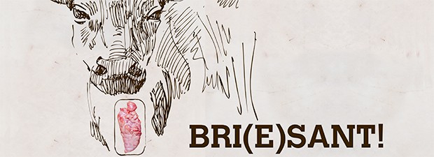 Bries Bries