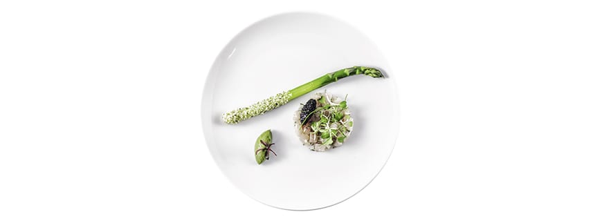 Shades of Green: Spargel mit Hanf, Hamachi, Osetra-Kaviar, Yuzu-Green-Mus, 5 Milligramm THC by Chris Sayegh