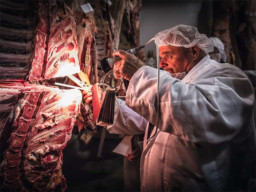 rp207-fleisch-01-header