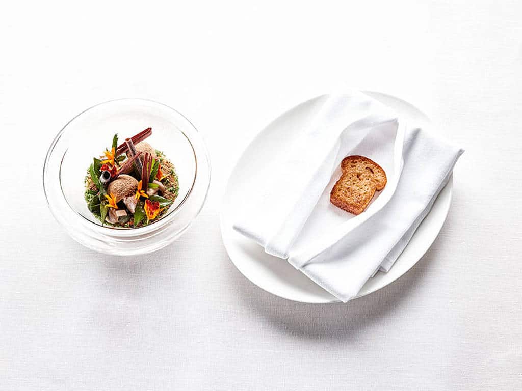 csm_rp232-chef-of-the-month-header2_367a9fa108