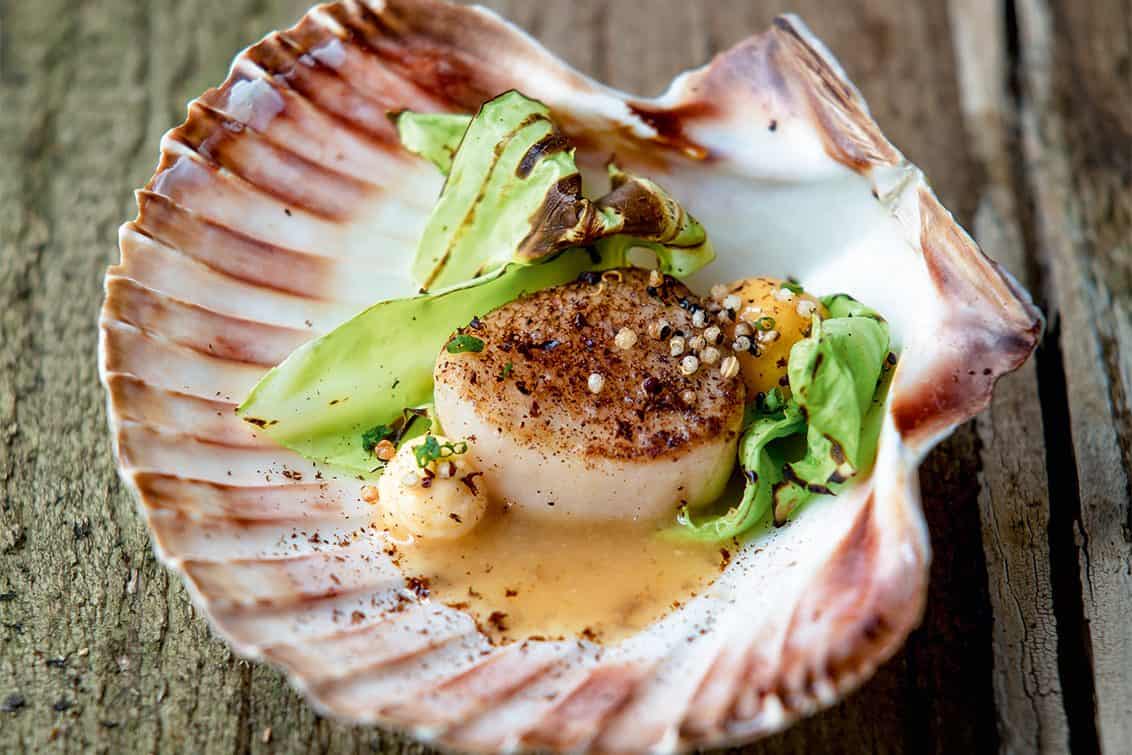 Alpine Jakobsmuschel, Rezept, Andreas Döllerer