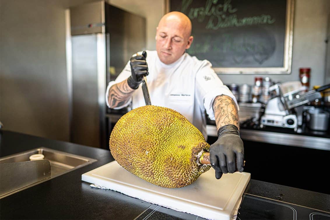 Johannes Marterer, Jackfruit
