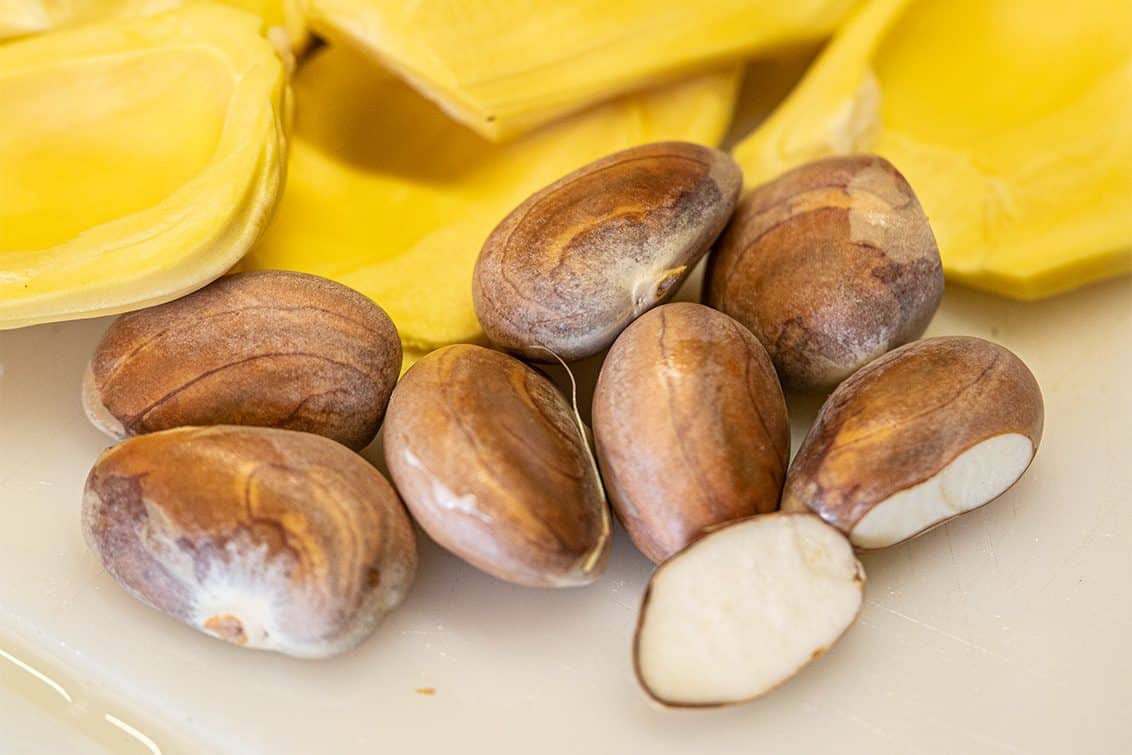 Jackfruit-Kerne