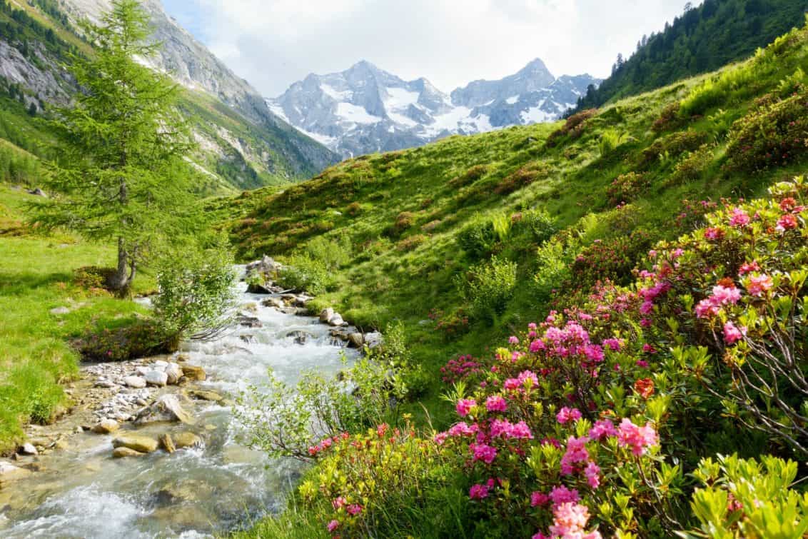 Urlaub Deutschland Österreich Rolling Pin News