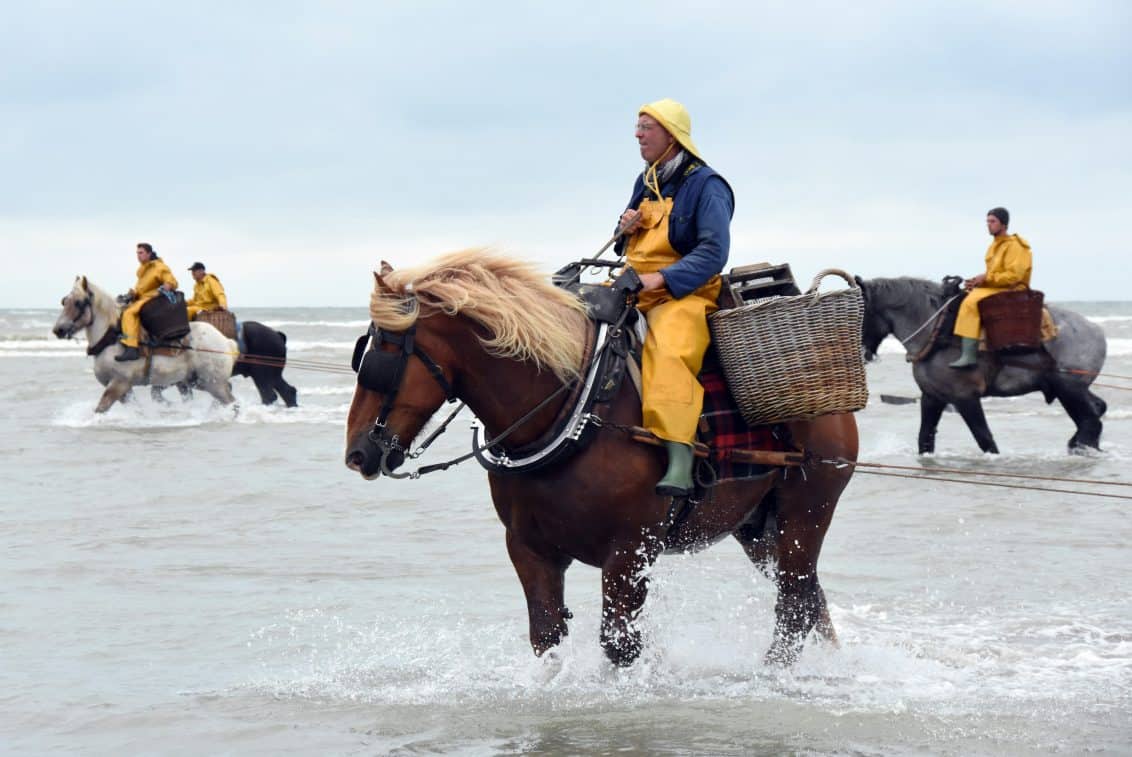 Shrimp-fishermen-2-Dirk-van-Hove-1132x757