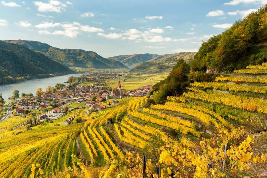 f5546f95-7b76-45b8-b5fd-9cb9a716c209-wachau-1132x753