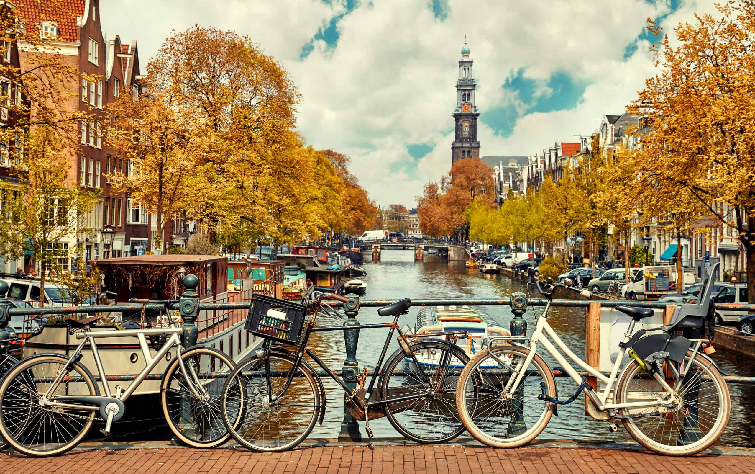 shutterstock_797232592-scaled