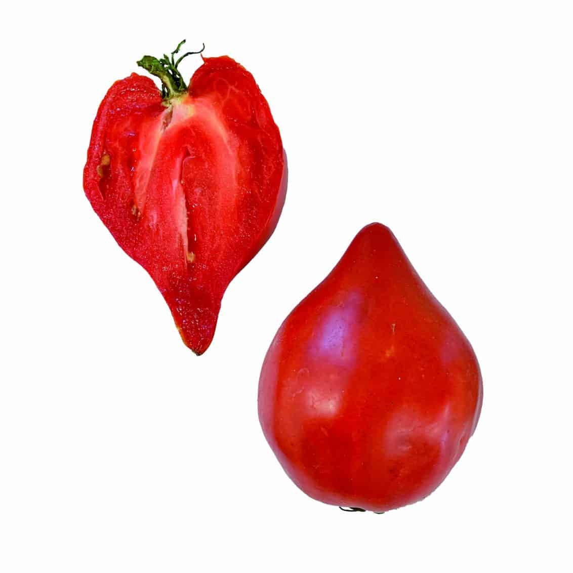 Stekovics