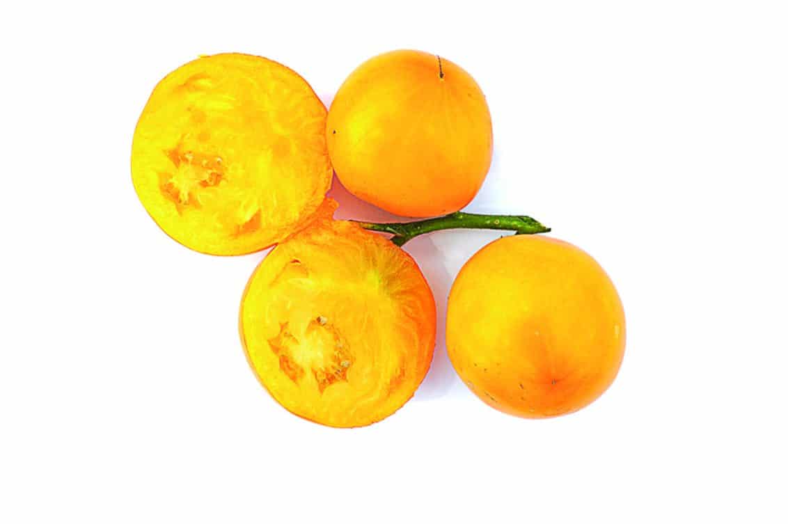 Stekovics