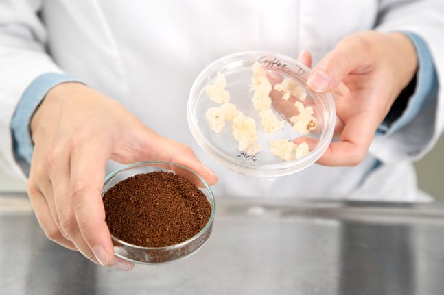 Coffee-produced-in-bioreactor-through-cellular-agriculture-3