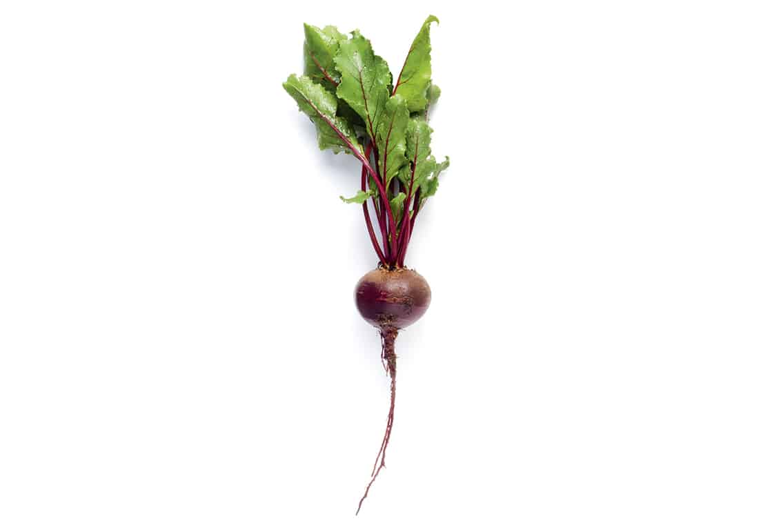 Vegan
