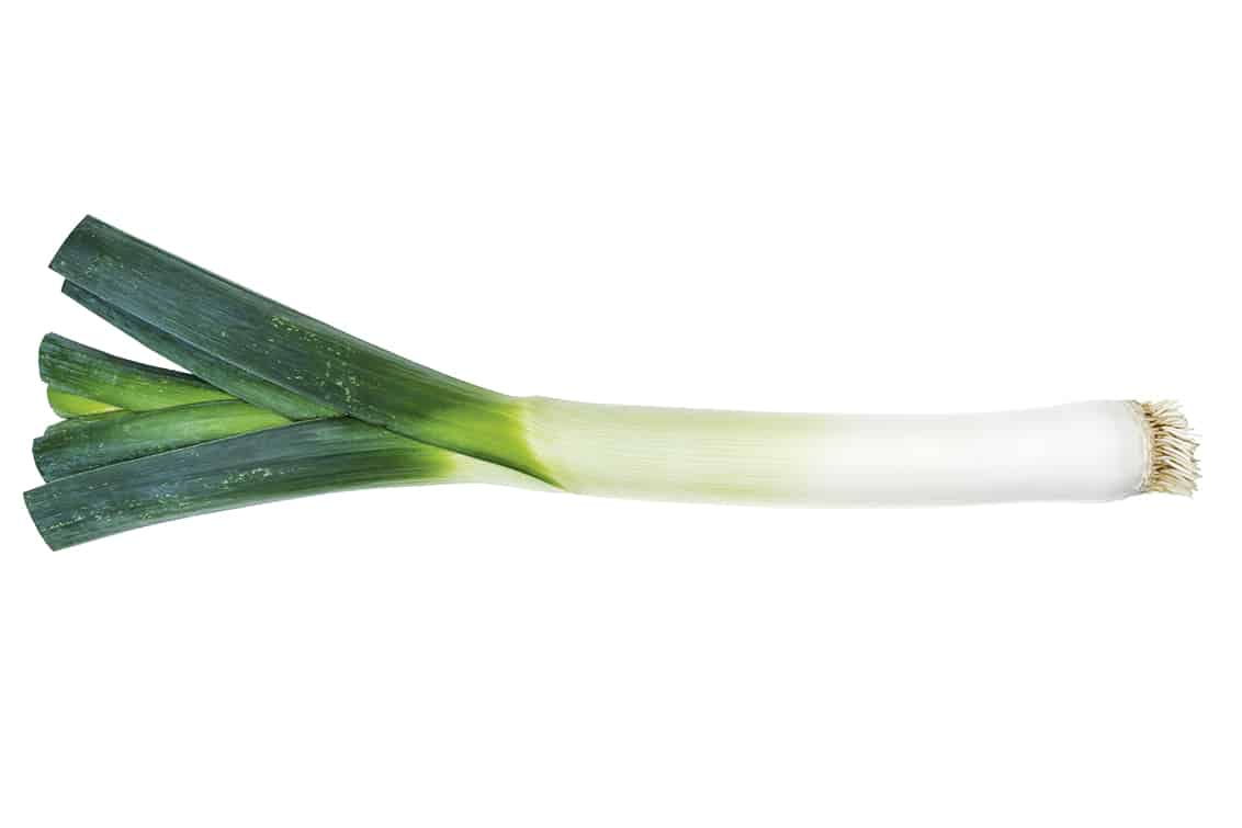 Vegan