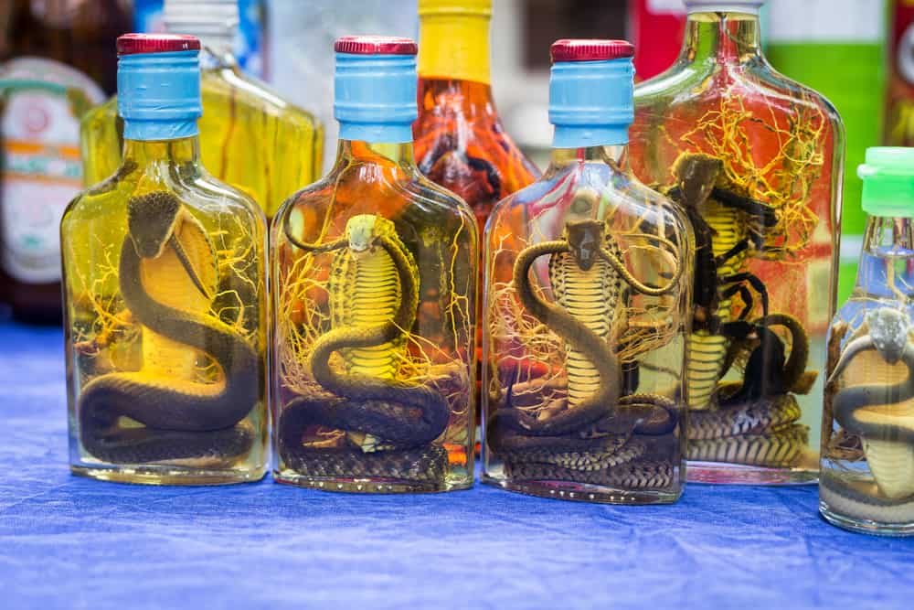 shutterstock_556883206_schlangen-wein